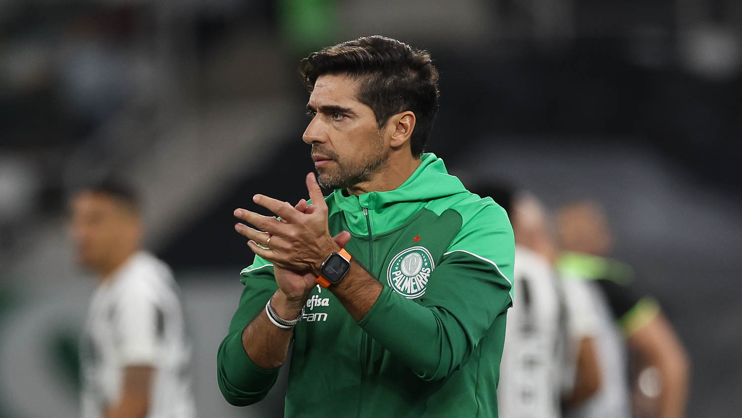 Cesar Greco/Palmeiras